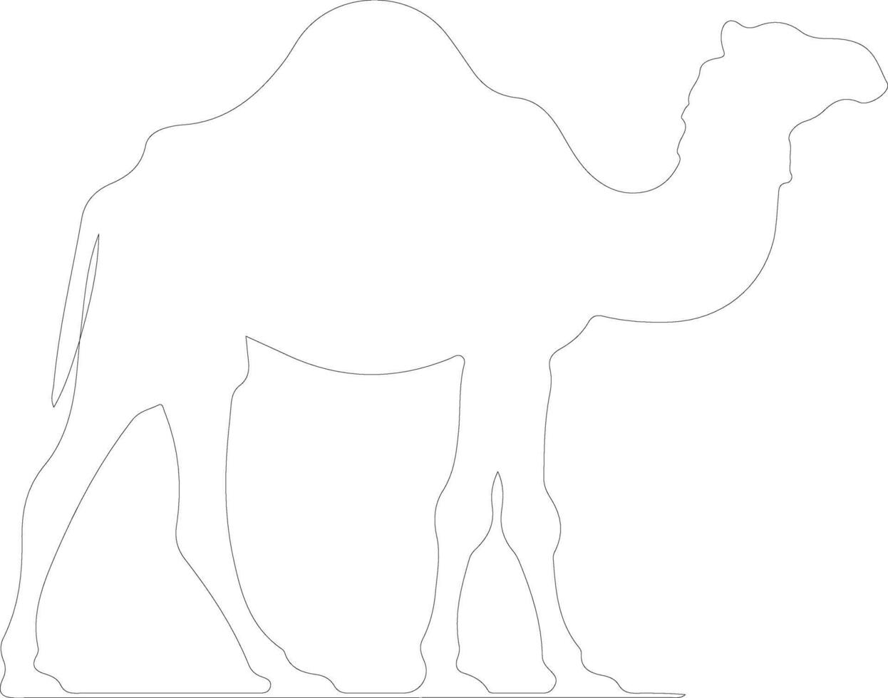 bactrian camel  outline silhouette vector