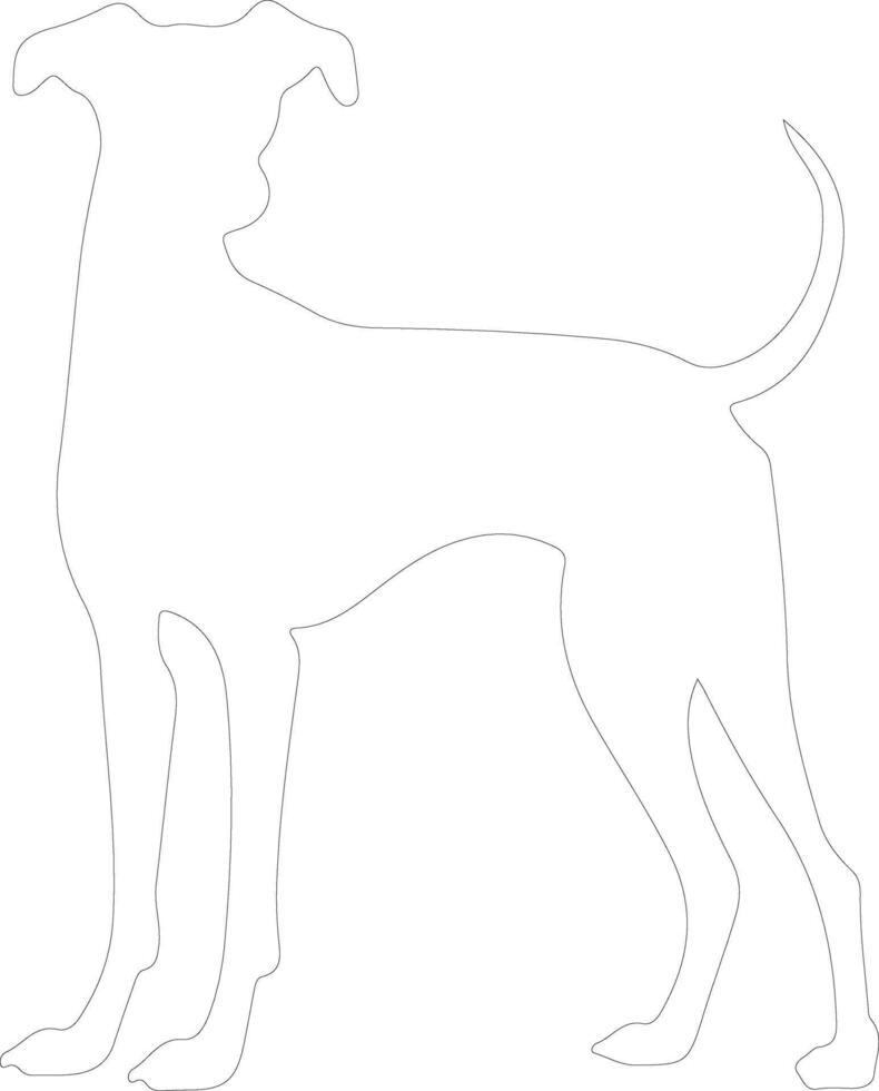 italiano galgo contorno silueta vector