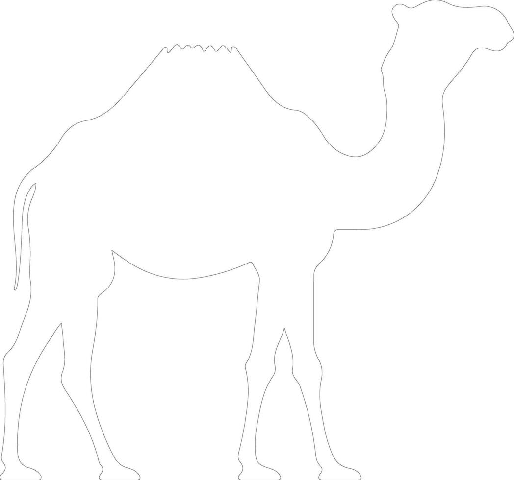 bactrian camel  outline silhouette vector