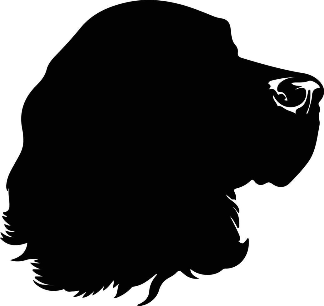 campo spaniel silueta retrato vector