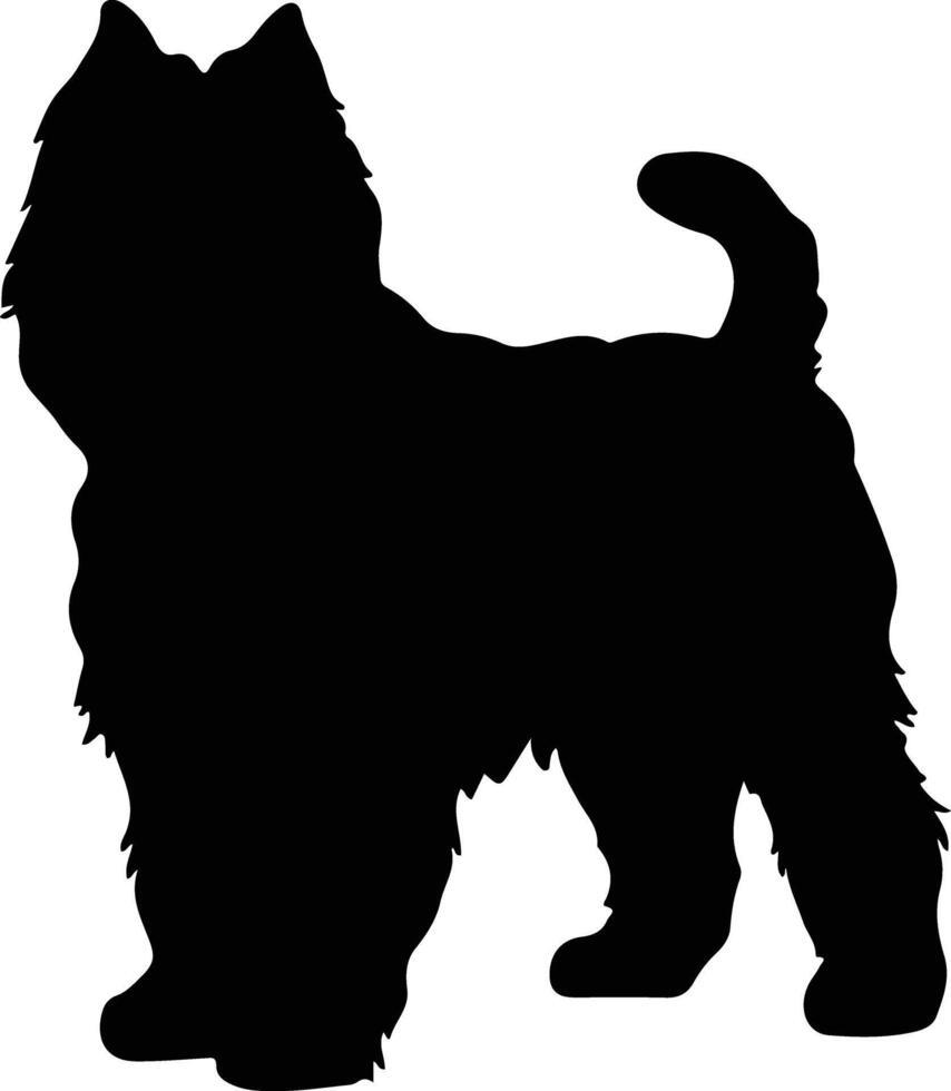 Bouvier des Flandres    black silhouette vector