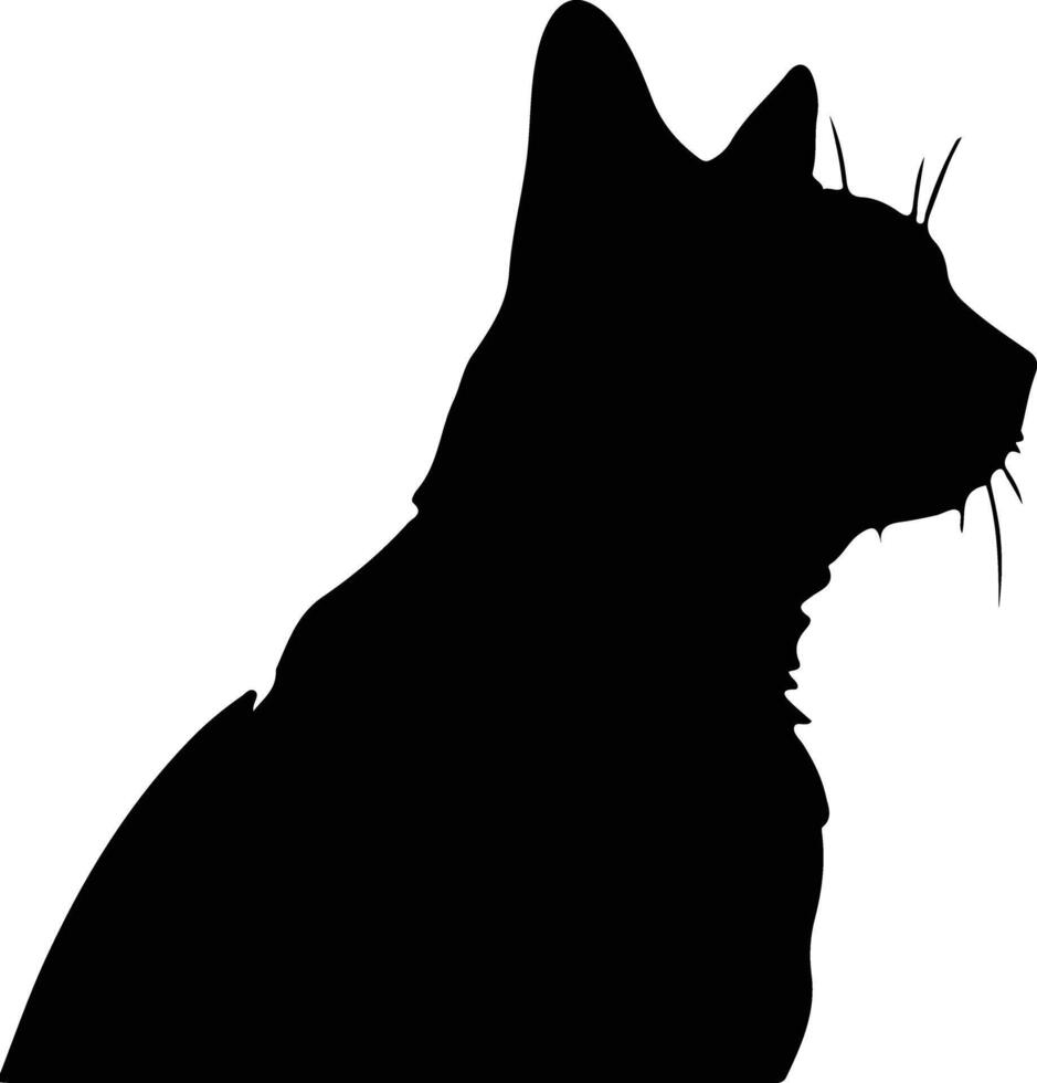 Bombay gato silueta retrato vector