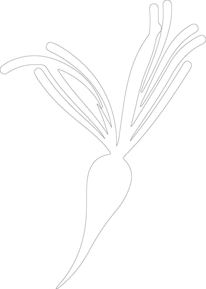 carrot  outline silhouette vector