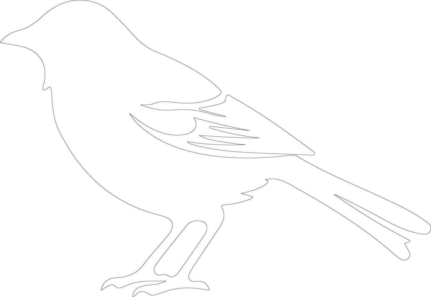 bird  outline silhouette vector
