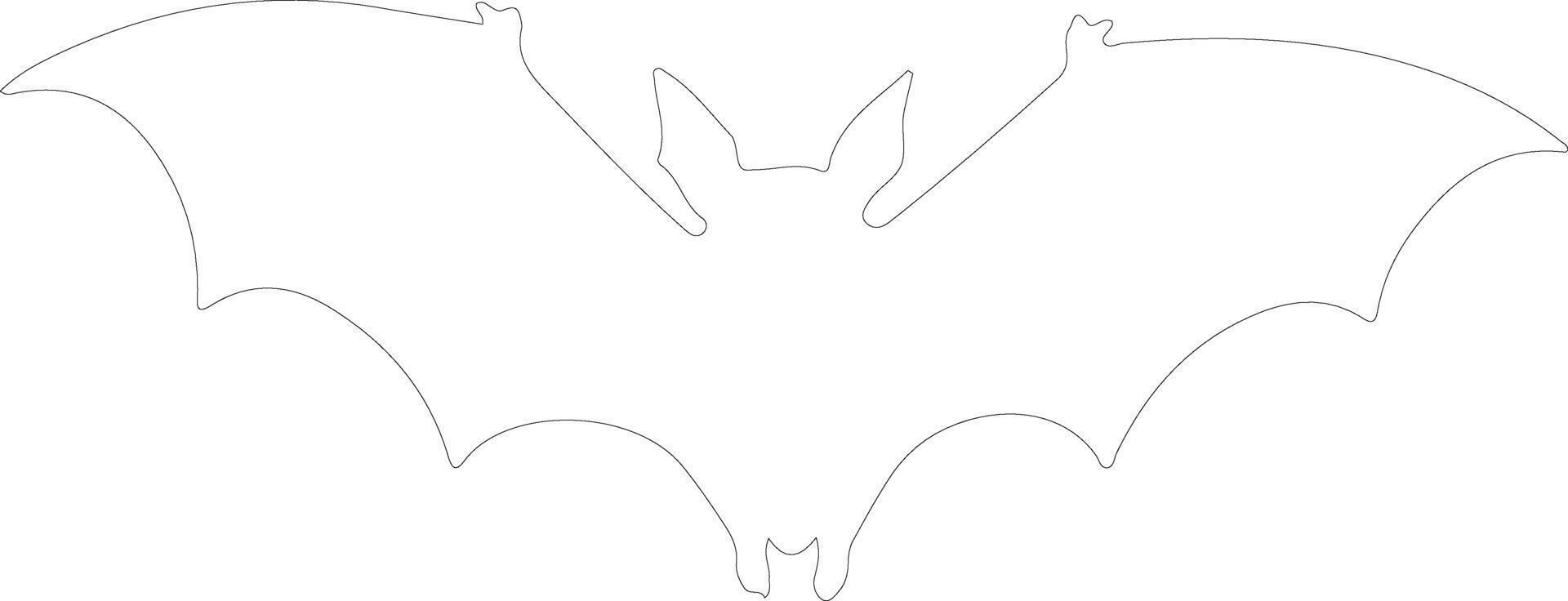 fruit bat    outline silhouette vector