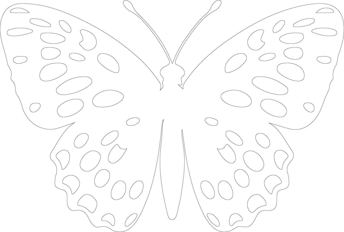 Oregon silverspot butterfly  outline silhouette vector