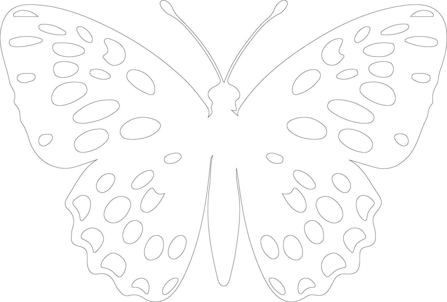 Oregon silverspot butterfly  outline silhouette vector