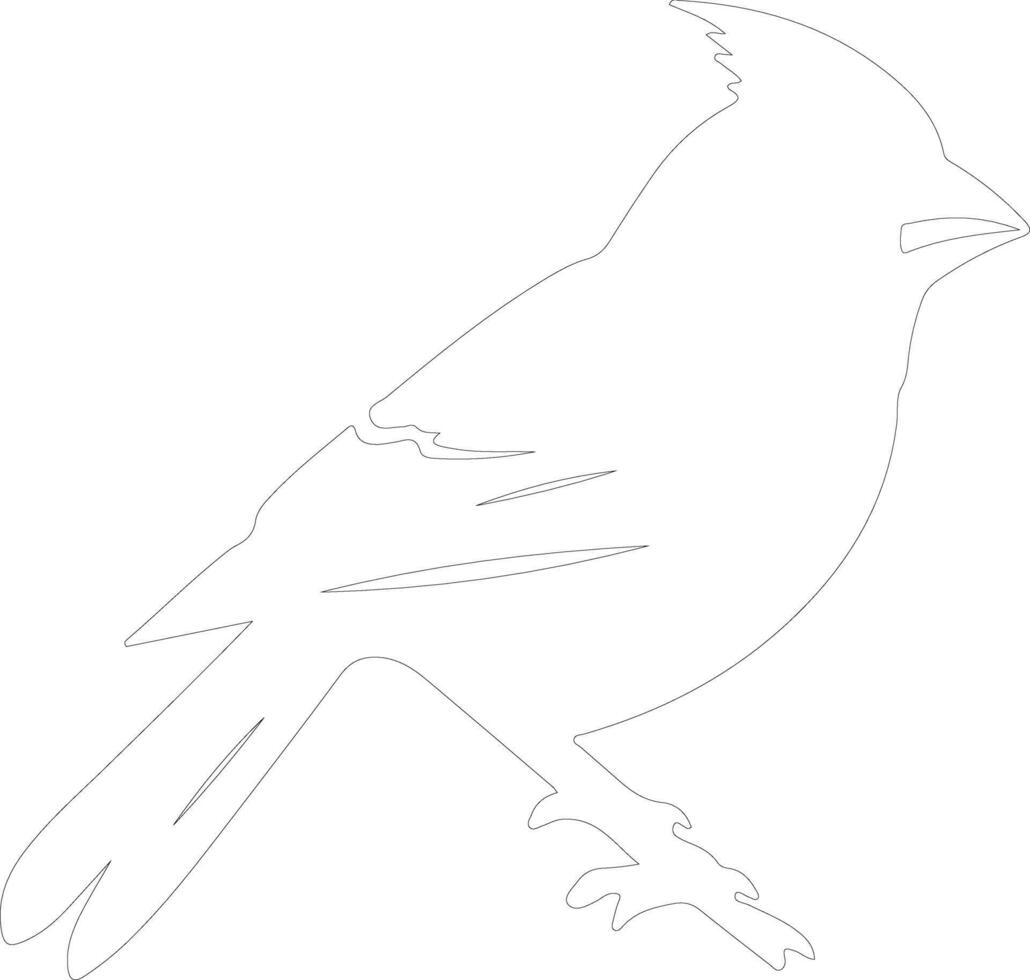 cardinal outline silhouette vector
