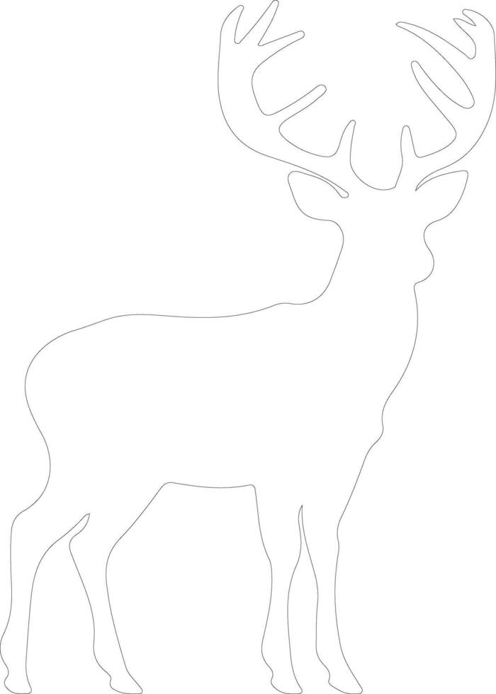 white-tailed deer  outline silhouette vector