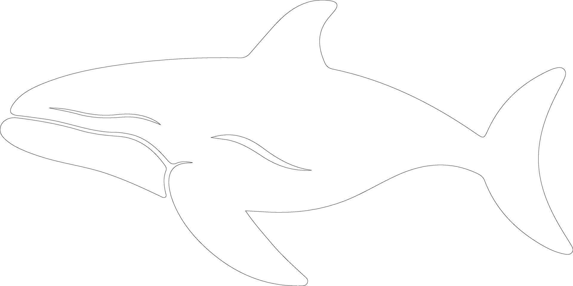 bowheadwhale outline silhouette vector