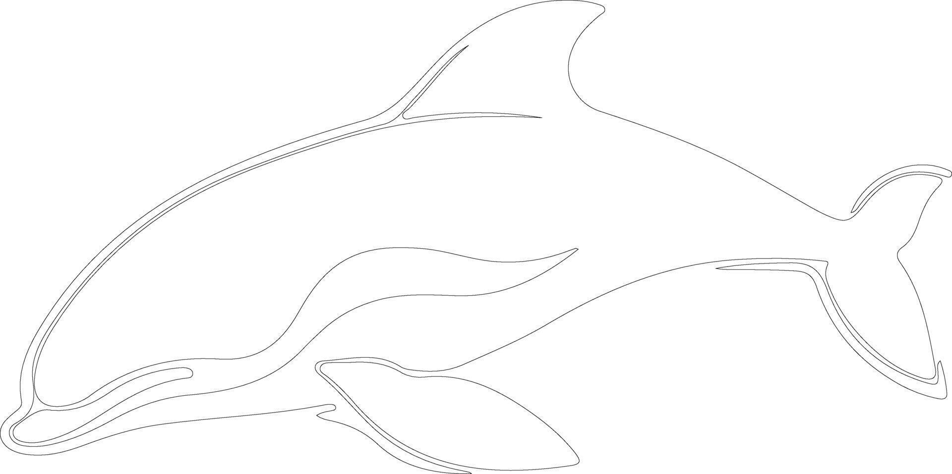 Dallsporpoise outline silhouette vector