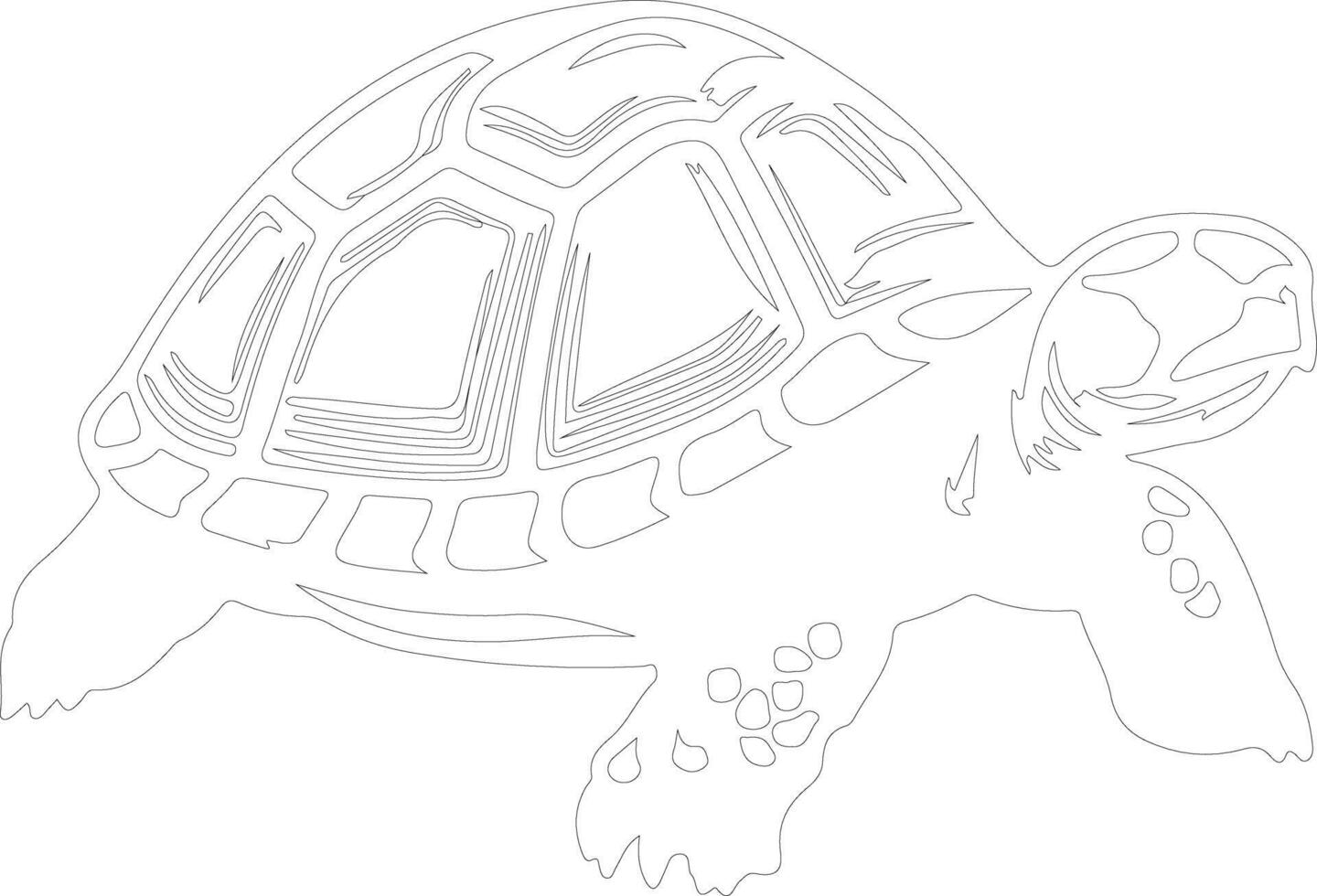 tortoise    outline silhouette vector