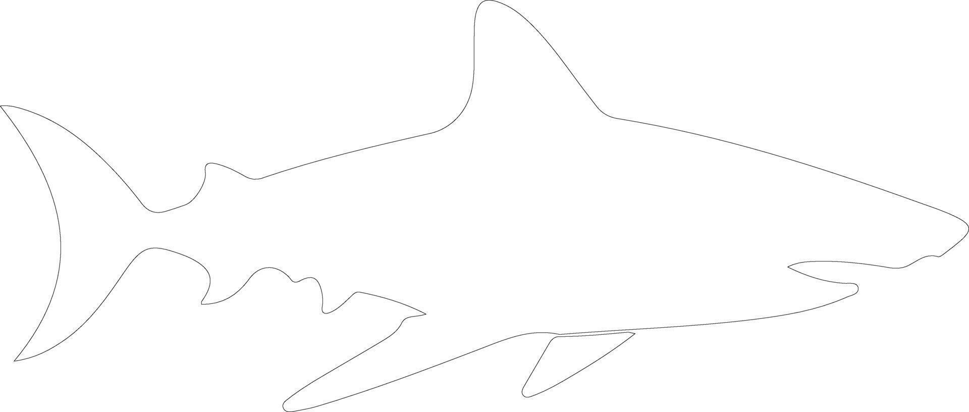 Galapagos shark outline silhouette vector