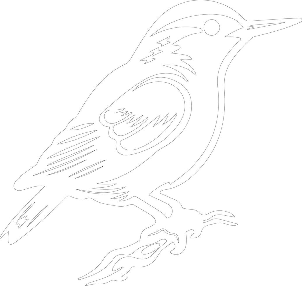 white-breasted nuthatch  outline silhouette vector