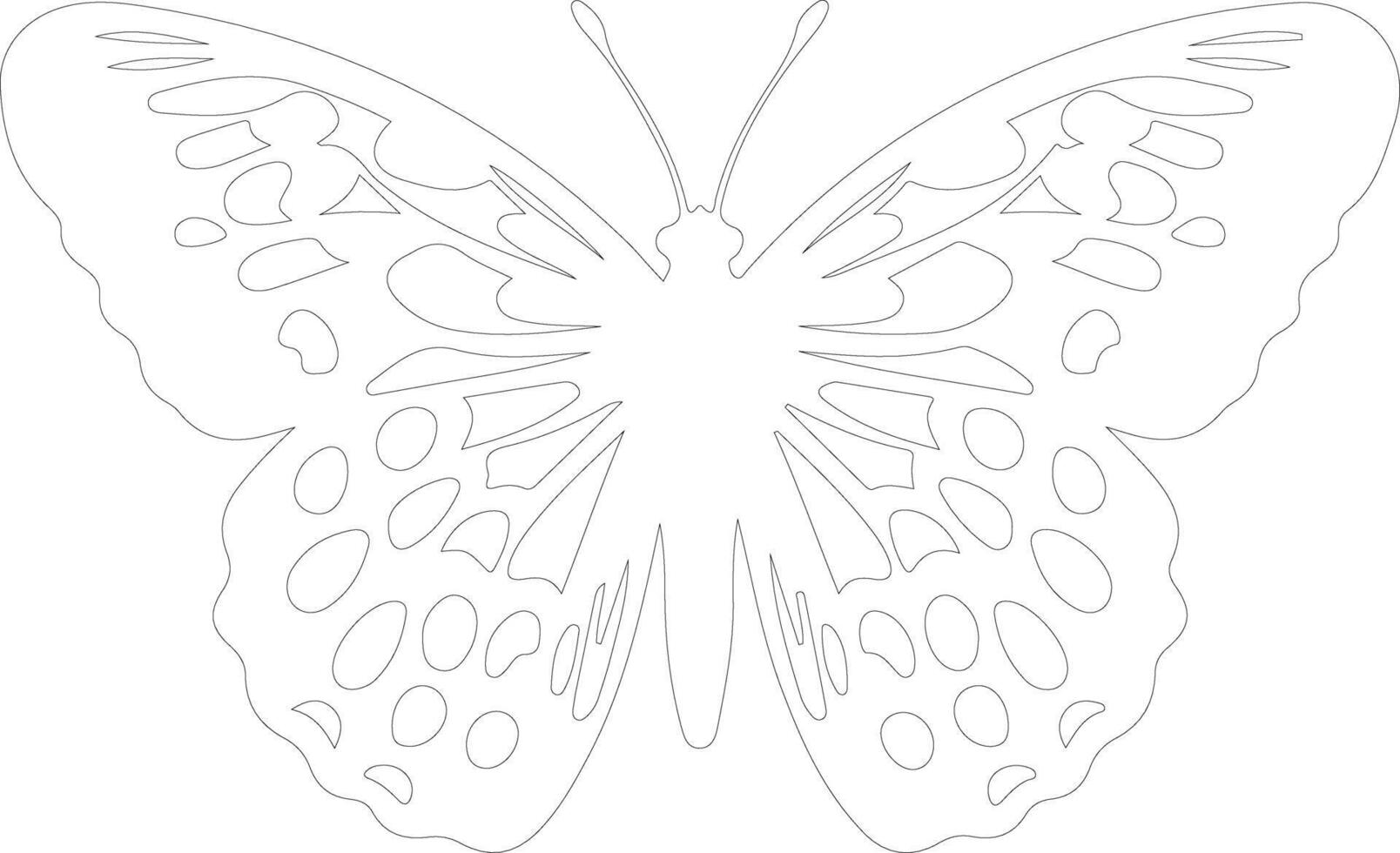 Oregon silverspot butterfly outline silhouette vector