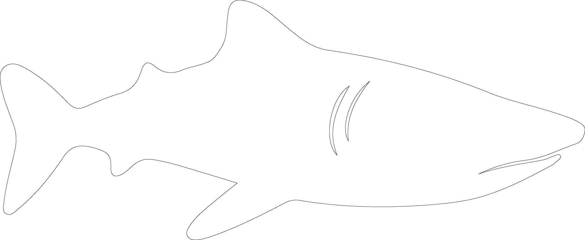 ballena tiburón contorno silueta vector