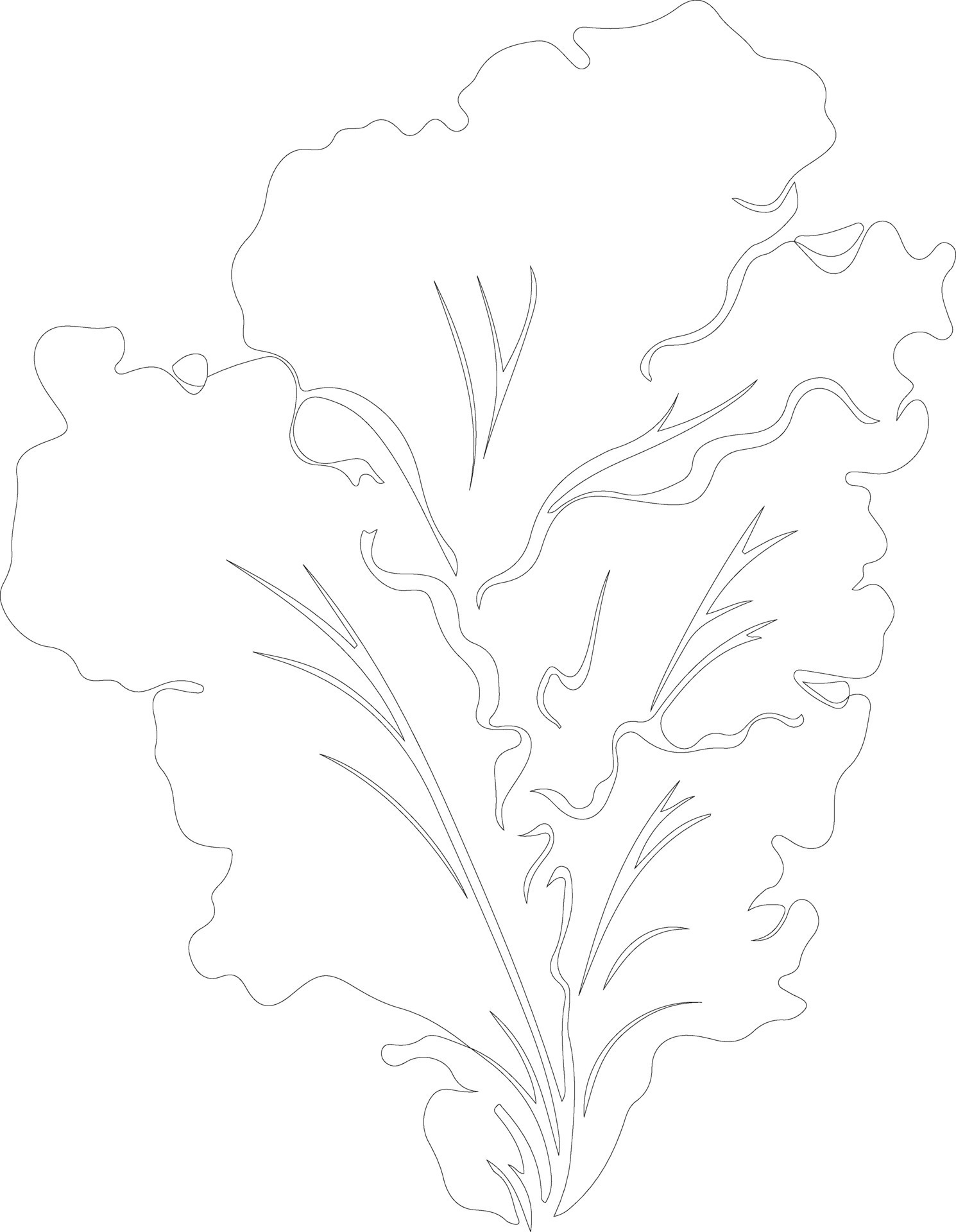lettuce outline silhouette 38491637 Vector Art at Vecteezy