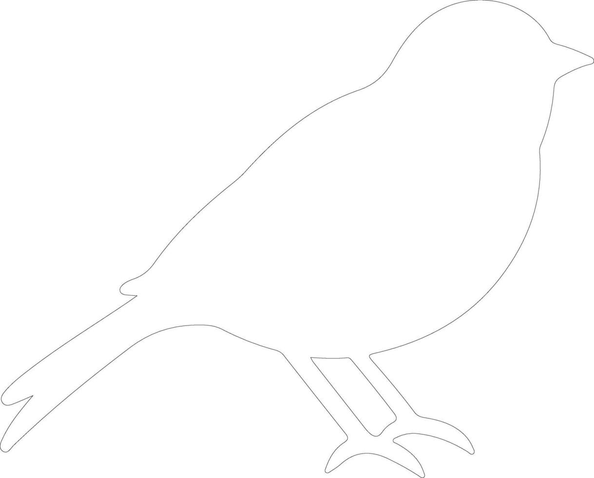 junco  outline silhouette vector