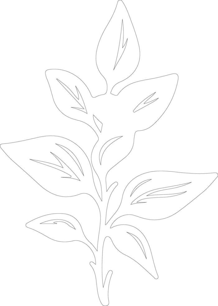 basil  outline silhouette vector