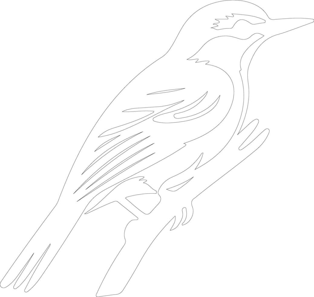 nuthatch  outline silhouette vector