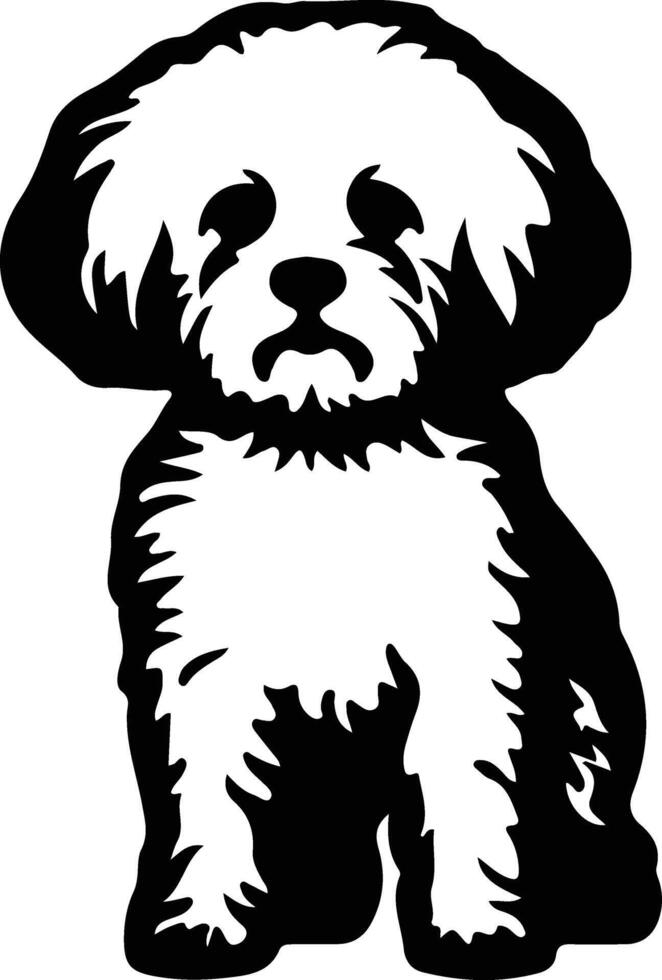 Bichon Frise   black silhouette vector