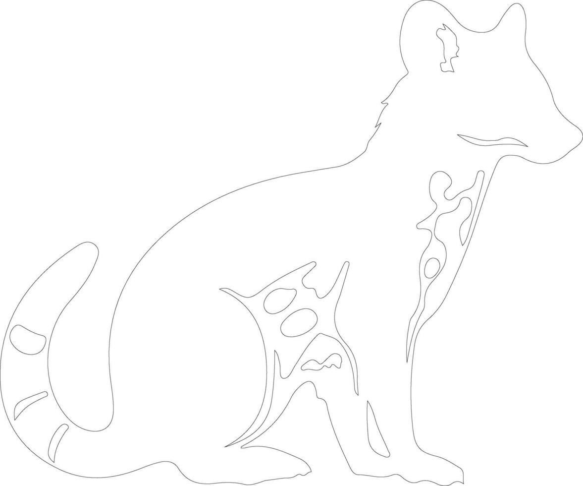 quoll    outline silhouette vector