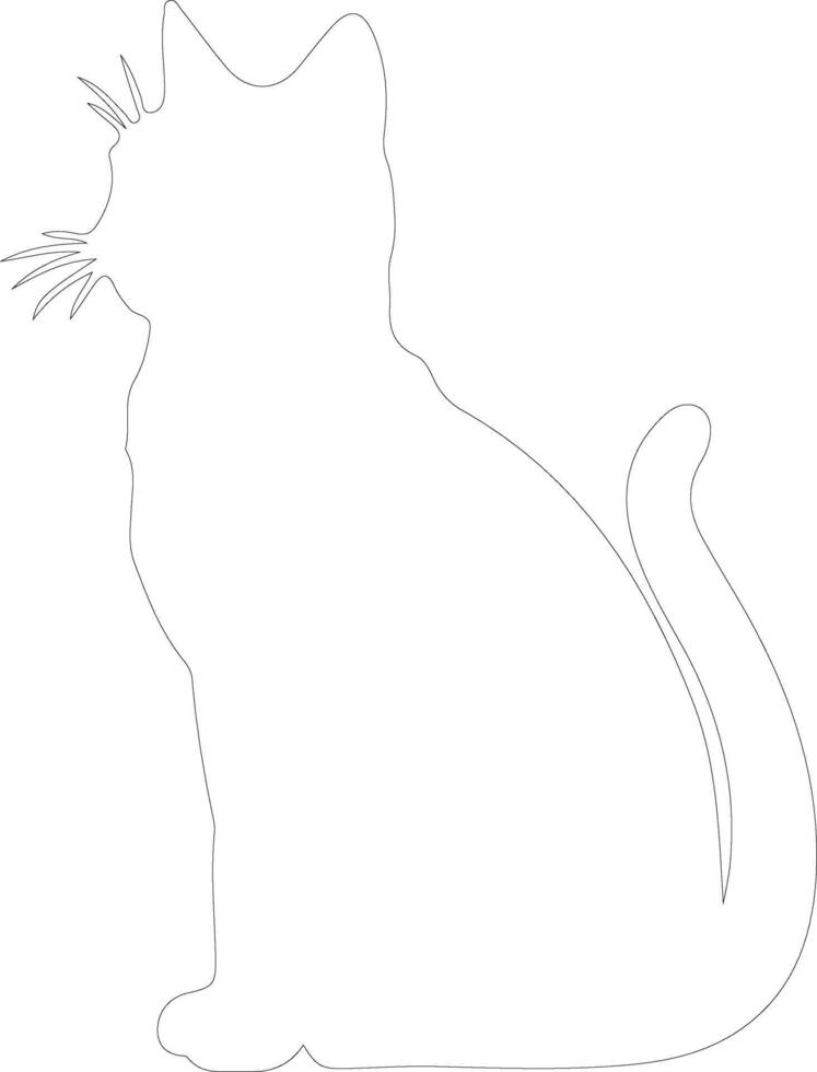 European Shorthair Cat  outline silhouette vector