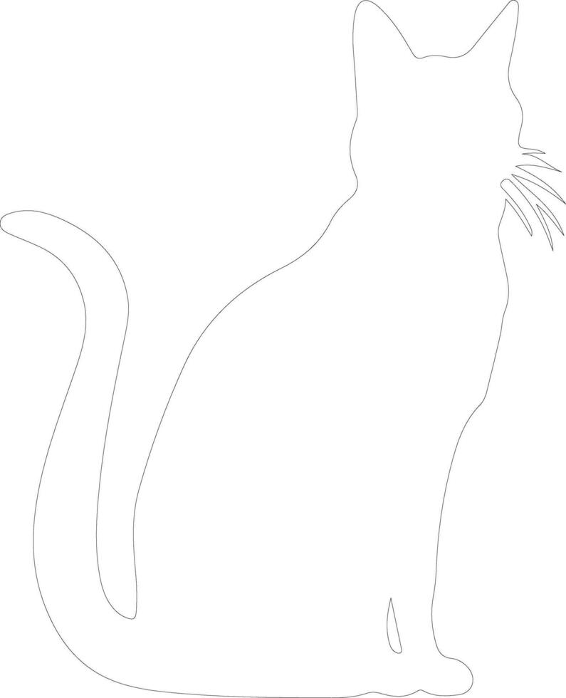 Korat Cat  outline silhouette vector