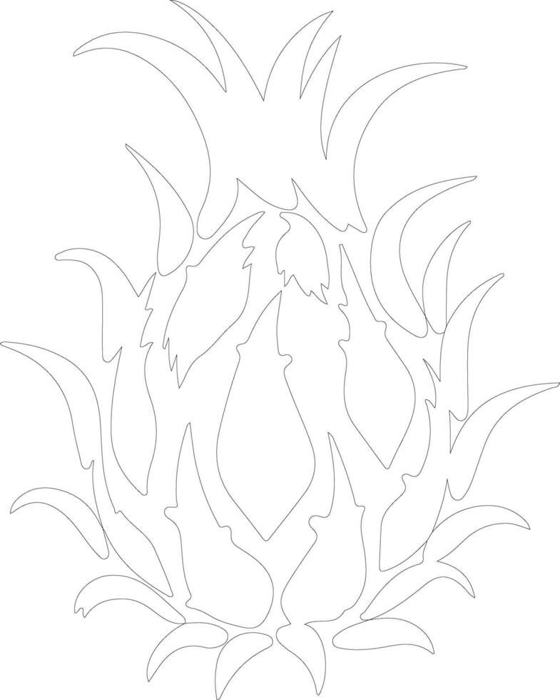 dragon fruit  outline silhouette vector