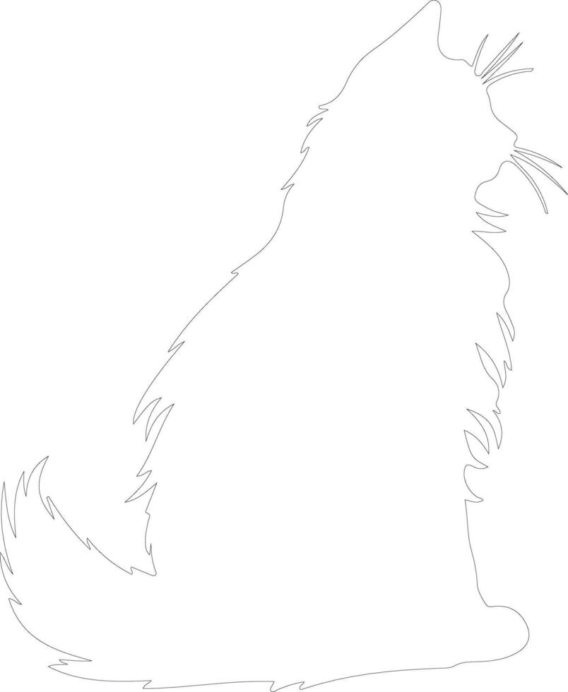 Maine Coon Cat  outline silhouette vector