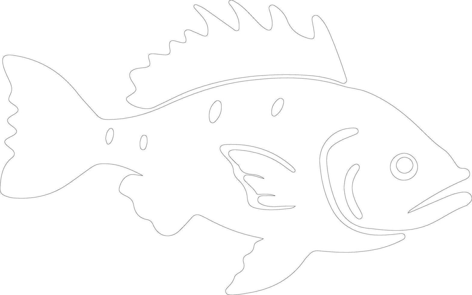 grouper  outline silhouette vector