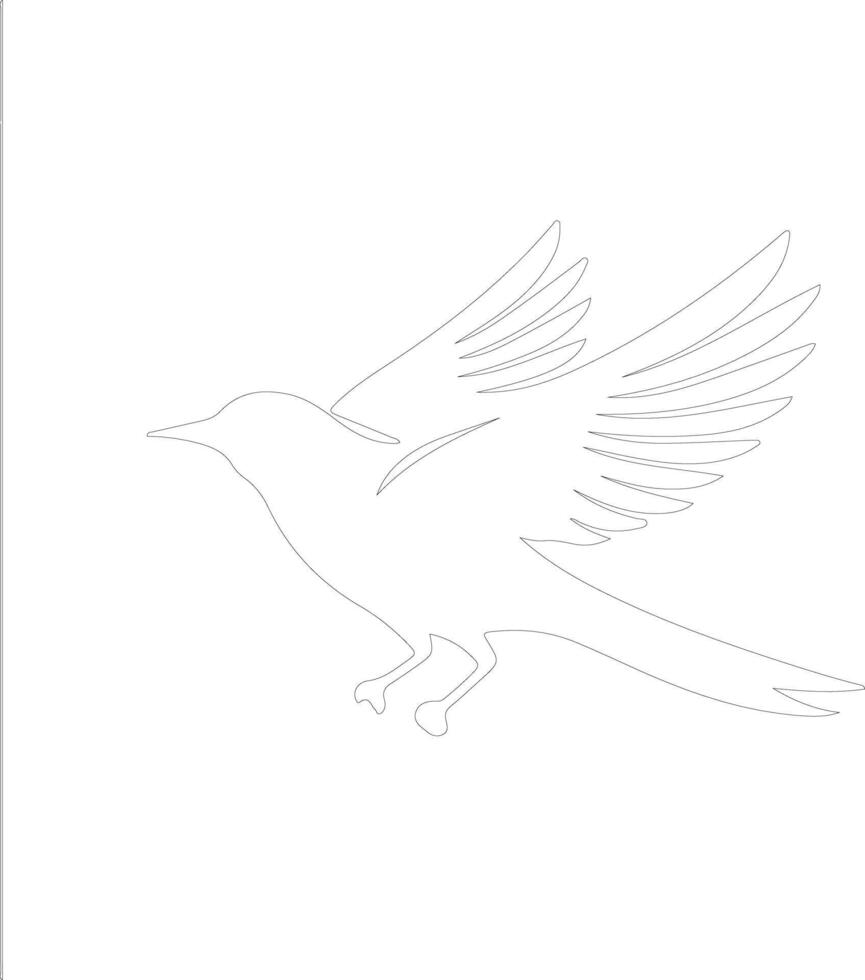 bird outline silhouette vector