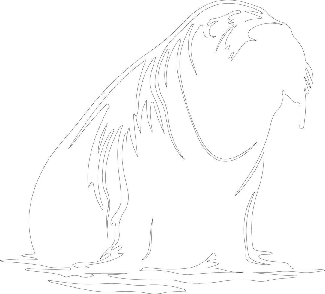 walrus  outline silhouette vector