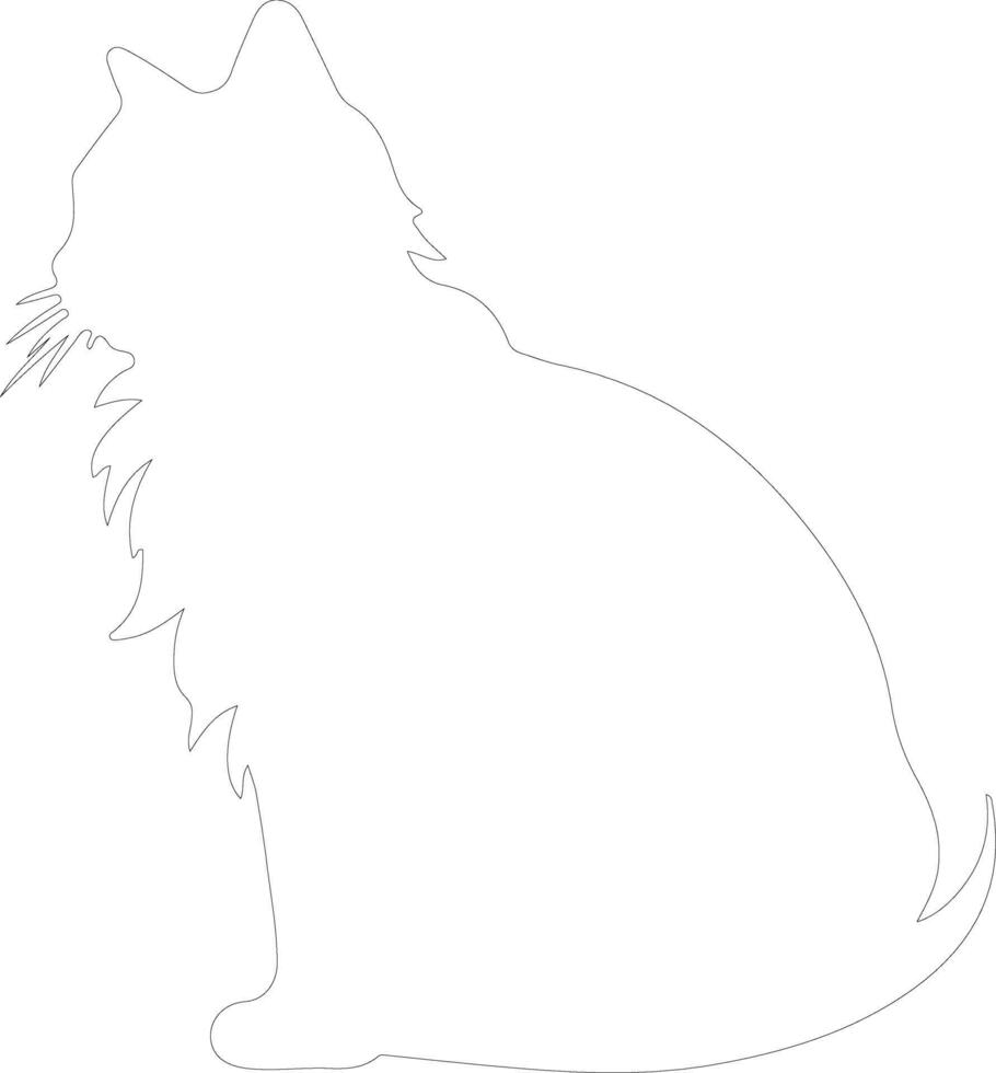 American Curl Cat  outline silhouette vector
