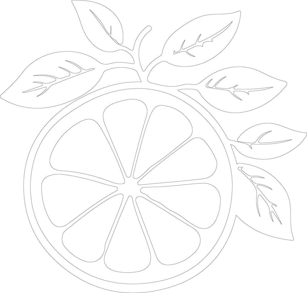 citrus  outline silhouette vector