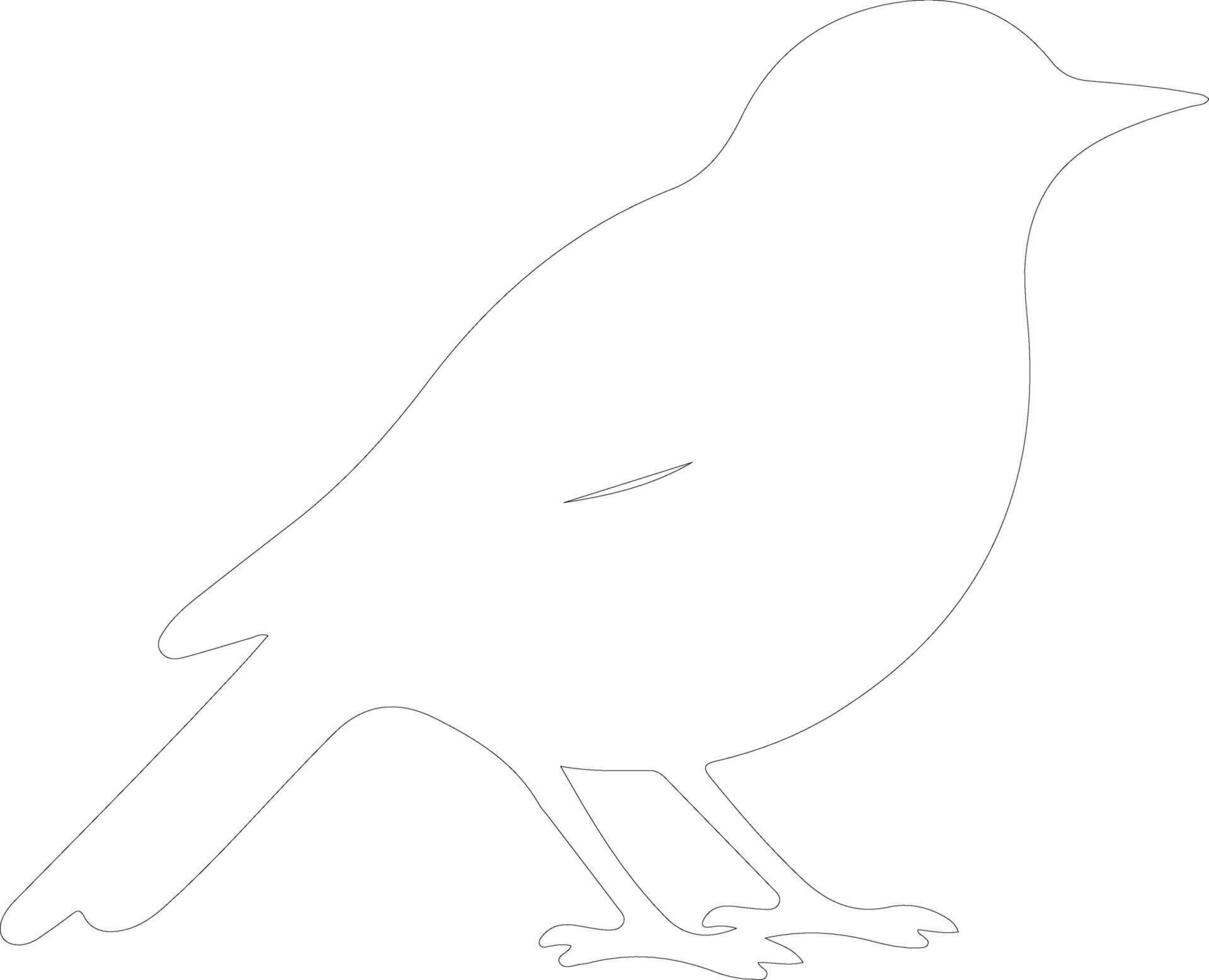 blackbird  outline silhouette vector