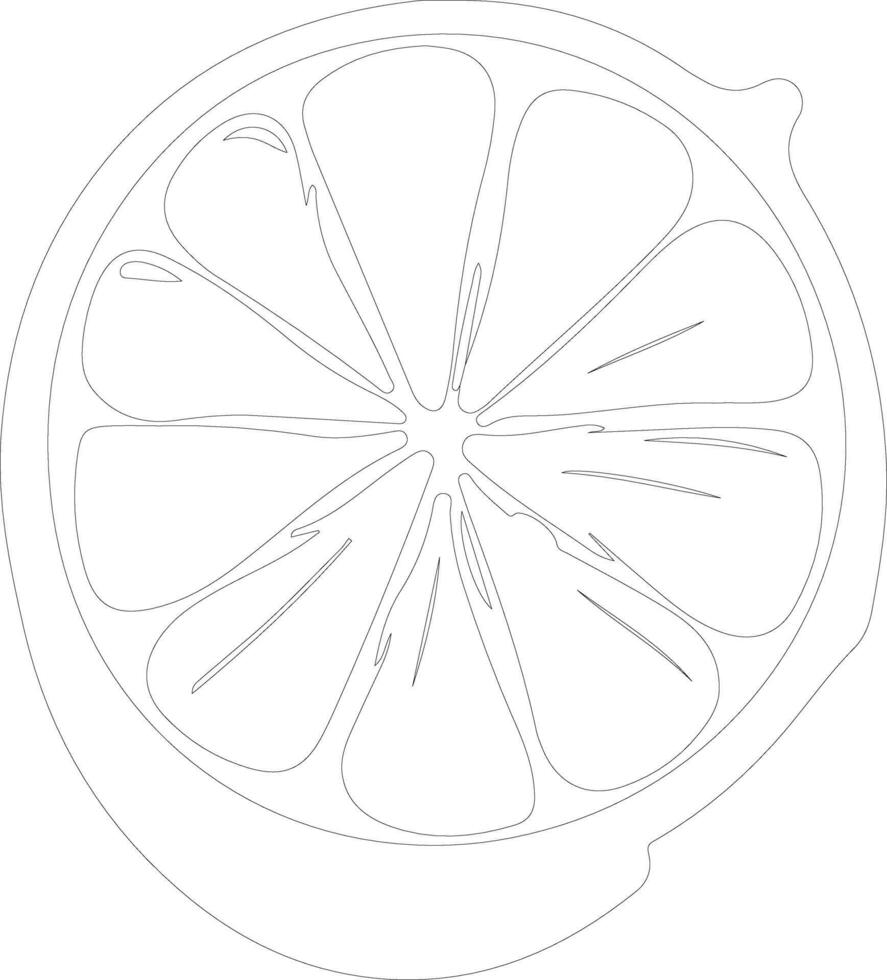 lime  outline silhouette vector
