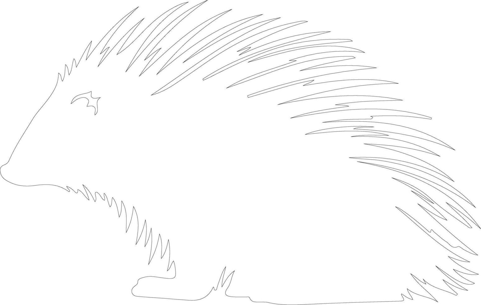 North American porcupine  outline silhouette vector