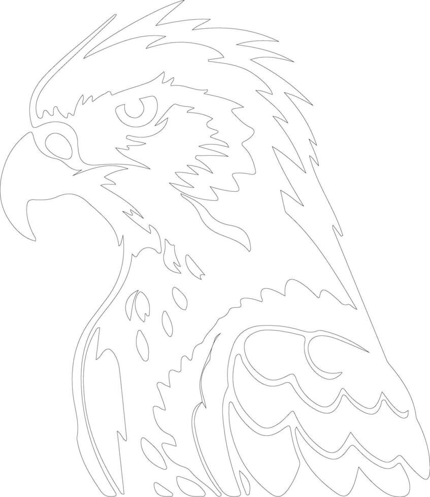 harpy eagle  outline silhouette vector