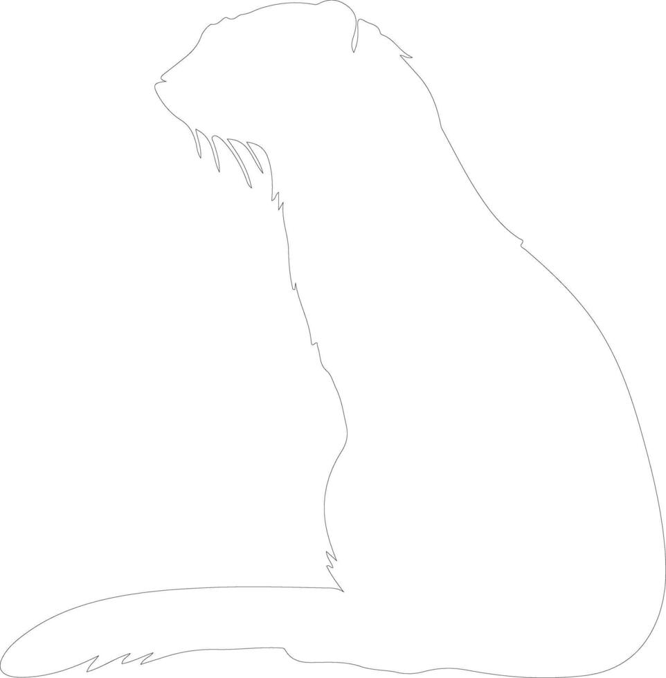 mink  outline silhouette vector