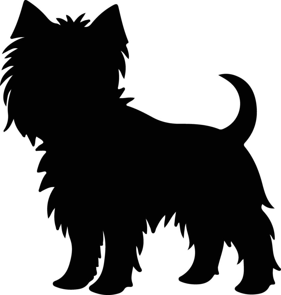 Cairn Terrier    black silhouette vector