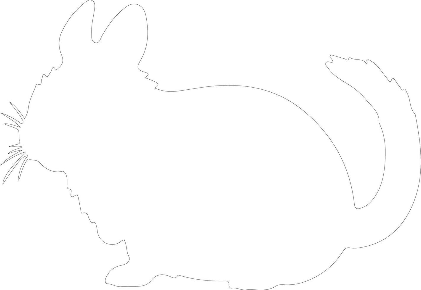 chinchilla contorno silueta vector