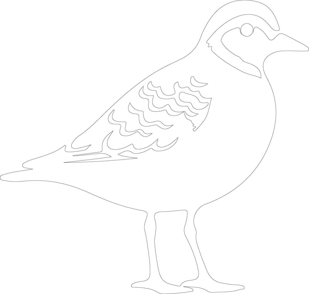 American golden plover  outline silhouette vector