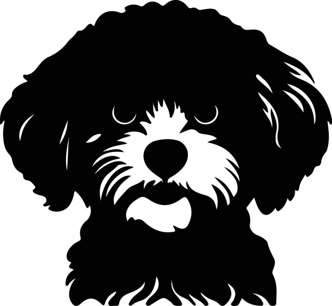 bichon frise  silhouette portrait vector