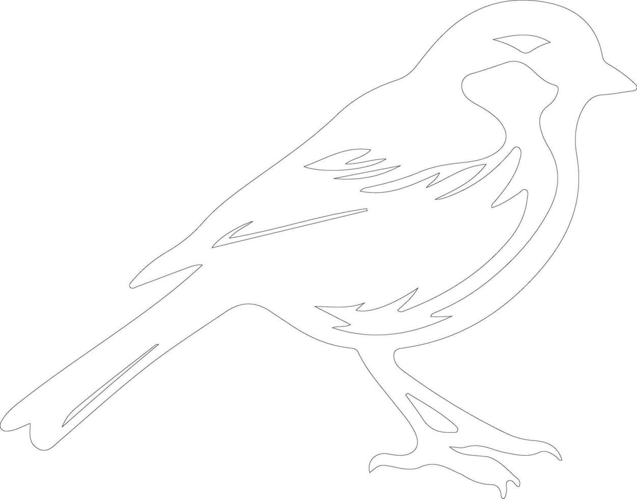 American tree sparrow  outline silhouette vector