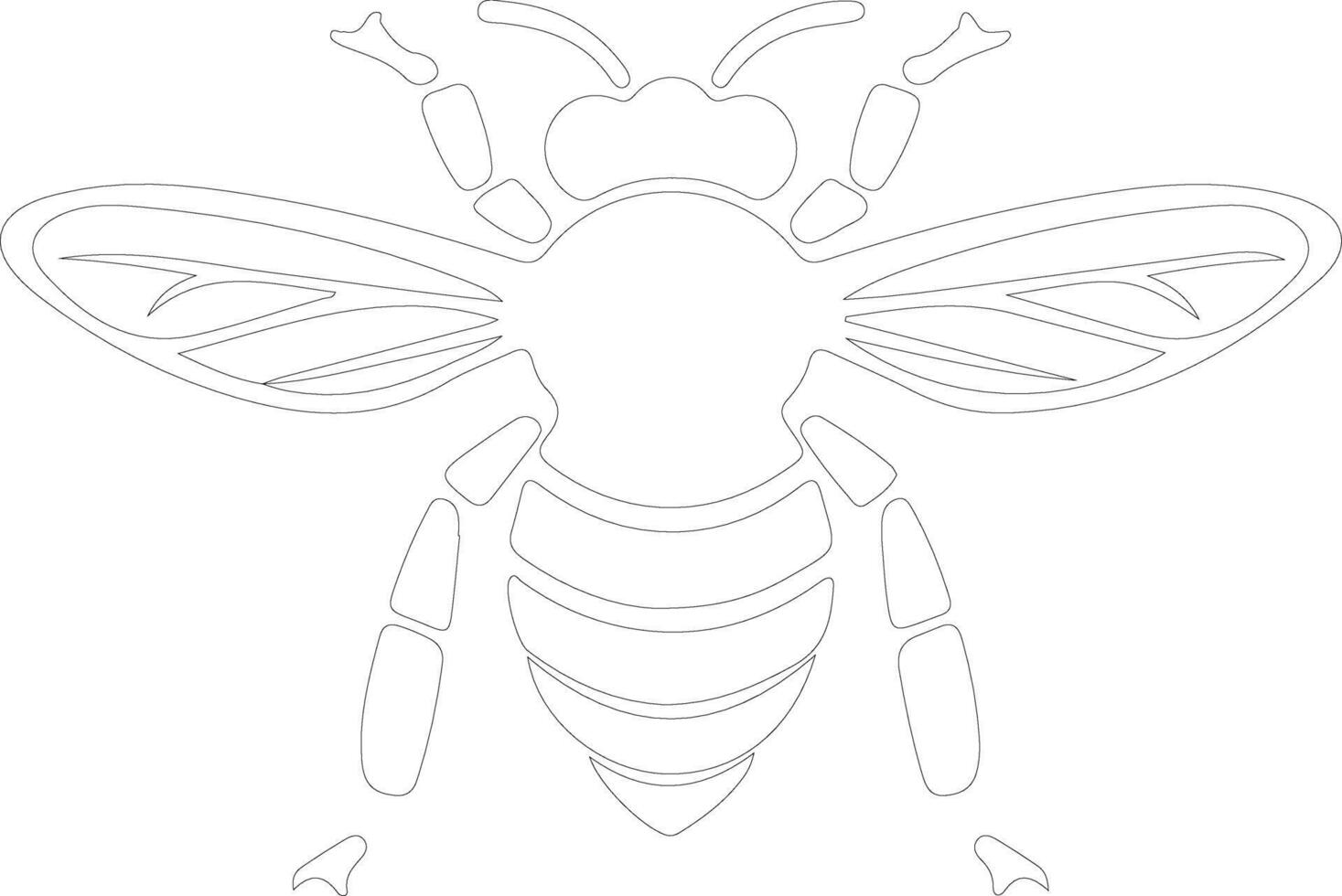 honey bee  outline silhouette vector