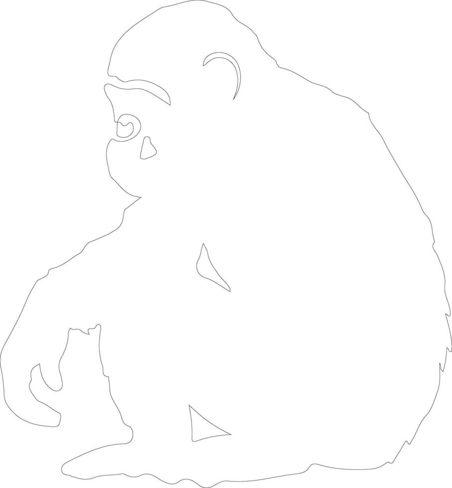 bonobo outline silhouette vector