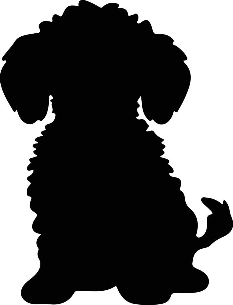 Toy Poodle   black silhouette vector