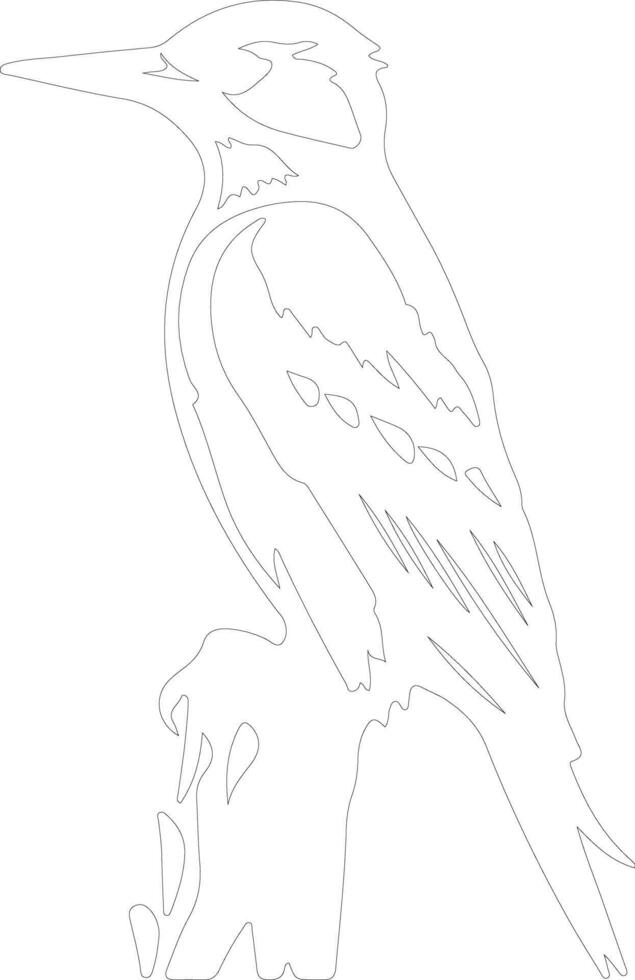 woodpecker  outline silhouette vector