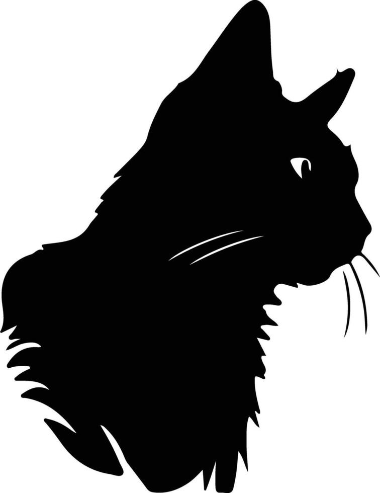 Bay Cat  silhouette portrait vector